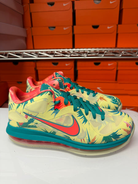 Nike Men's Lebron 9 Low Shoes Lebronald Palmer DO9355-300