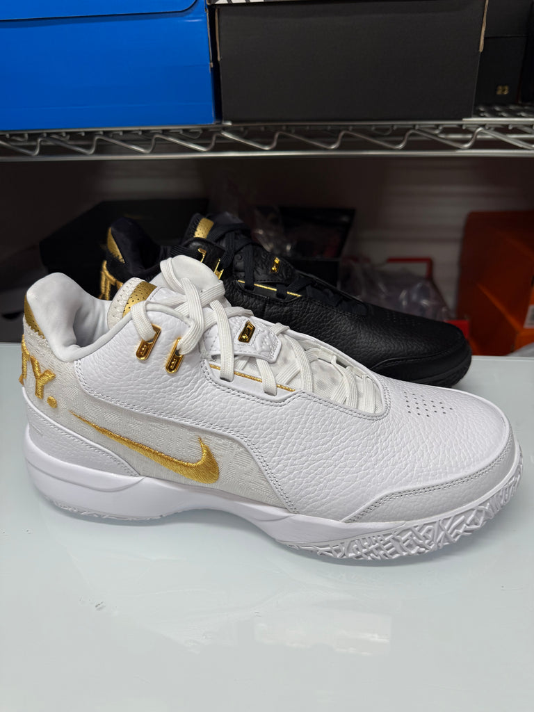 Nike Men's Zoom Lebron NXXT Gen AMPD Shoes Equity White Black FJ1566-103