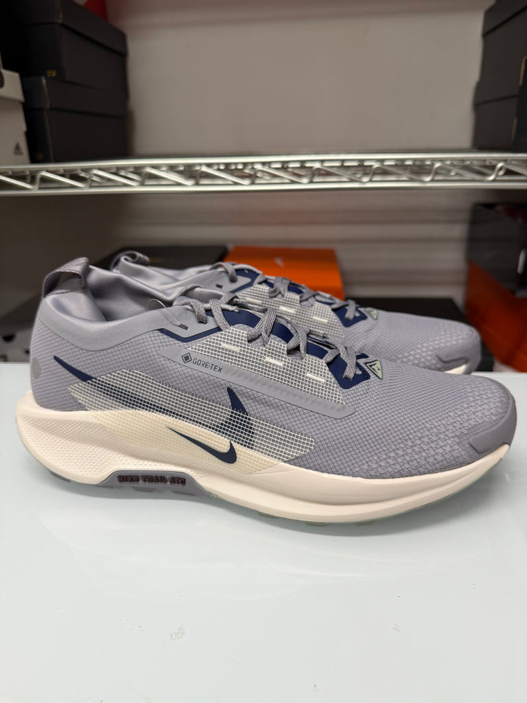 Nike Men's Pegasus Trail 5 Gore-Tex Shoes Grey Navy FQ0908-006