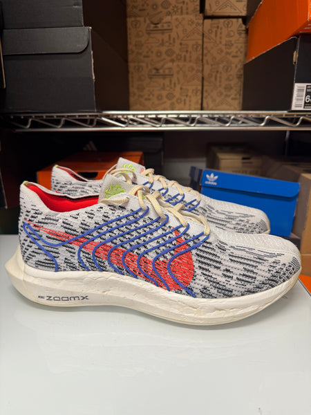 Nike Men's Pegasus Turbo Next Nature Shoes Pure Platinum Crimson DM3413-002